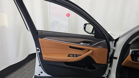 BMW 5 Series (G30) 530e 2019 24