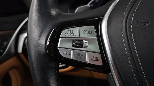 BMW 5 Series (G30) 530e 2019 33