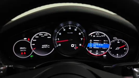 Porsche (971) 2.9 AWD 2021 8