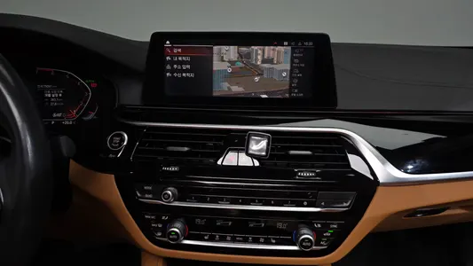 BMW 5 Series (G30) 520i 2020 13