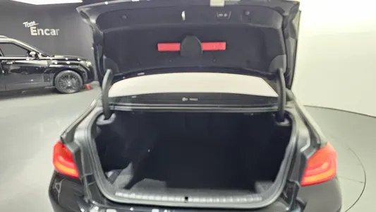 BMW 5 Series (G30) 520d 2020 19