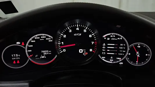 Porsche (971) 4.0 GTS 2021 8
