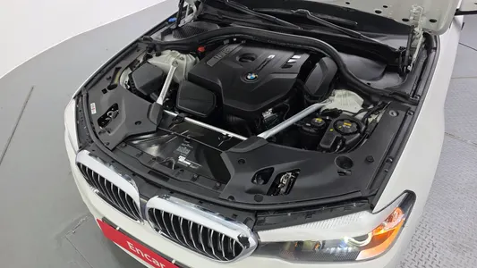 BMW 5 Series (G30) 520i 2018 6