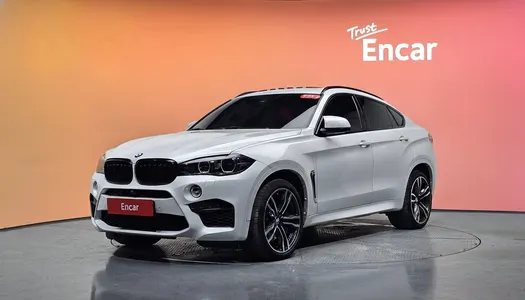 BMW X6M (F16) 4.4 2017 21