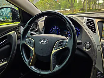 Hyundai Grandeur HG LPG HG300 2013 9