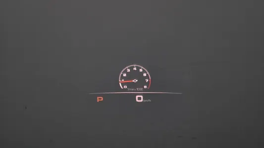Porsche (PO536) 3.0 2019 31