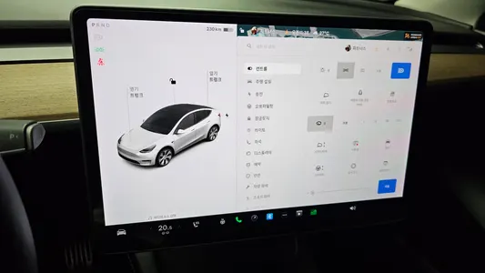Tesla Y AWD 2021 17