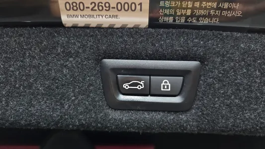 BMW 5 Series (G30) 530i xDrive 2018 18