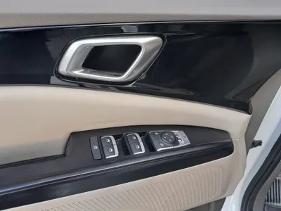 Kia Carnival (LPG) 2022 7