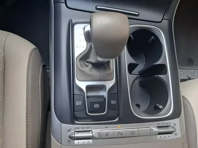 Kia Carnival (LPG) 2022 13