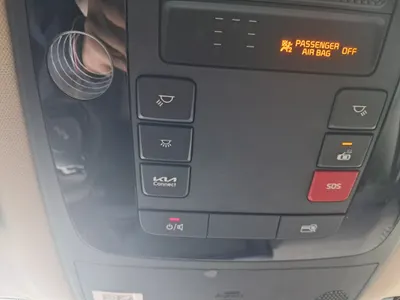 Kia Carnival (LPG) 2022 15