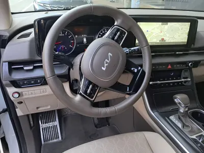 Kia Carnival (LPG) 2022 16