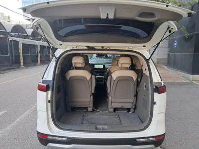 Kia Carnival (LPG) 2022 19