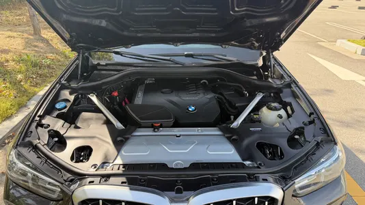 BMW X4 (G02) xDrive20i xLine 2022 6