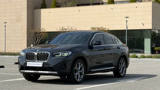 BMW X4 (G02) xDrive20i xLine 2022
