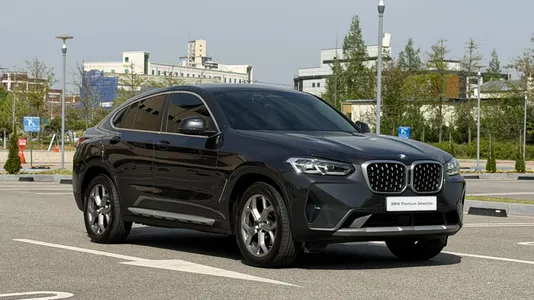 BMW X4 (G02) xDrive20i xLine 2022 11