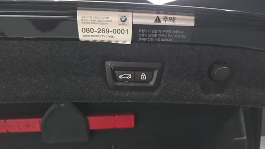 BMW 5 Series (G30) 530i xDrive 2018 19