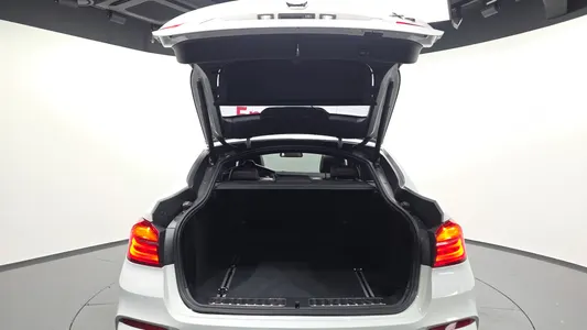 BMW X4 (F26) xDrive20d M 2018 31