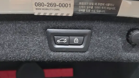 BMW 5 Series (G30) 530i 2018 31