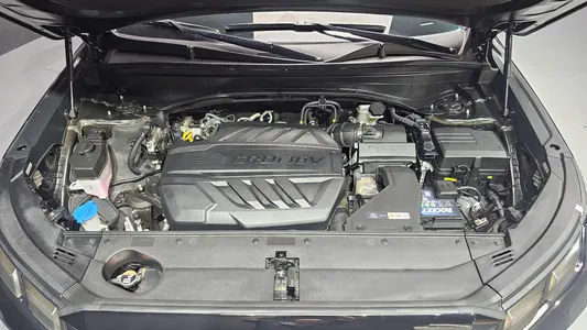Hyundai 팰리세이드 2.2 2WD 2022 6
