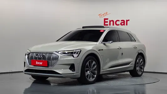 Audi e- 55 2020