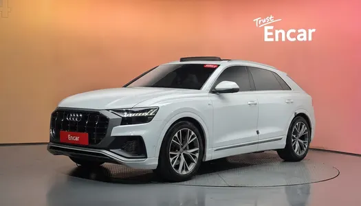Audi Q8 (4M) 50 TDI 2020 20