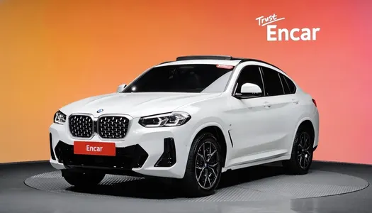 BMW X4 (G02) xDrive20i M 2024 20