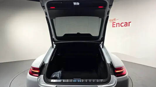 Porsche (971) 2.9 AWD E- 2018 18