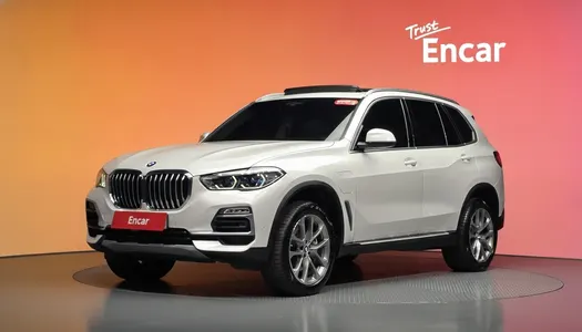 BMW X5 (G05) xDrive 45e xLine 2021 20