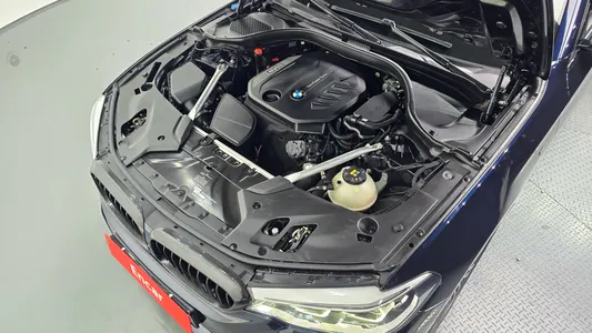 BMW 5 Series (G30) 520d M 2020 5