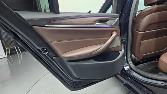 BMW 5 Series (G30) 520d M 2020 25