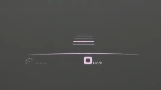 Porsche (PO536) 3.0 2019 14