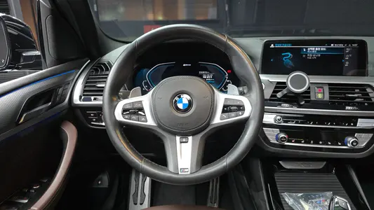 BMW X3 (G01) xDrive 30e M 2021 12