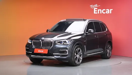 BMW X5 (G05) xDrive 45e xLine 2022 20