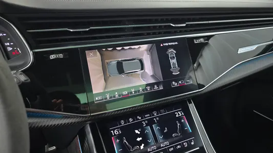 Audi RS Q8 (4M) 4.0 TFSI 2021 14